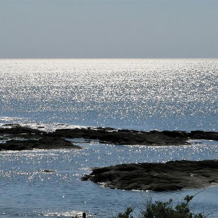 Vitamin Sea La Turballe Luaran gambar