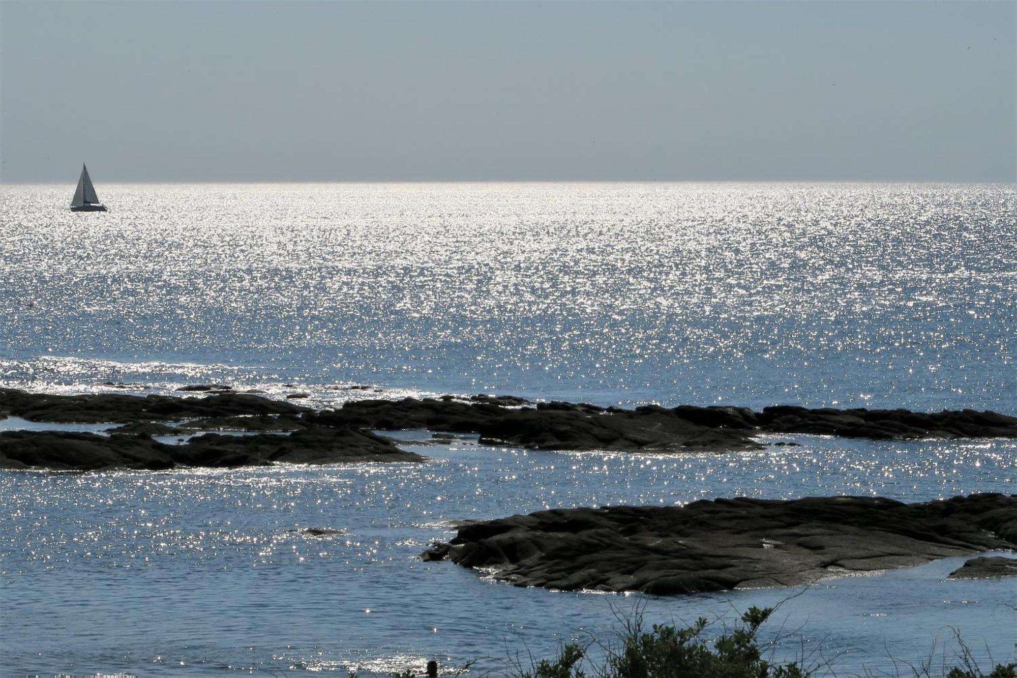 Vitamin Sea La Turballe Luaran gambar